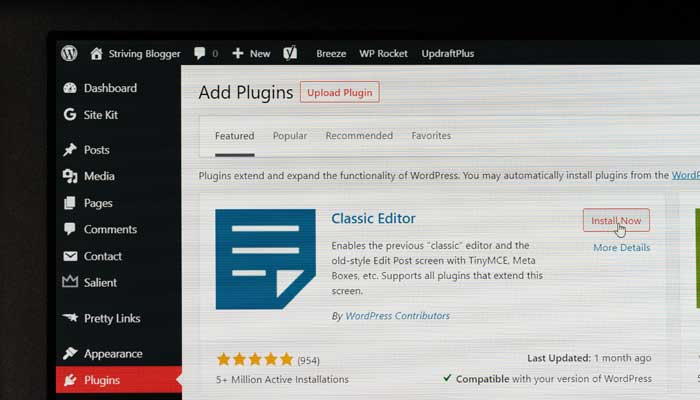screenshot of wordpress cms